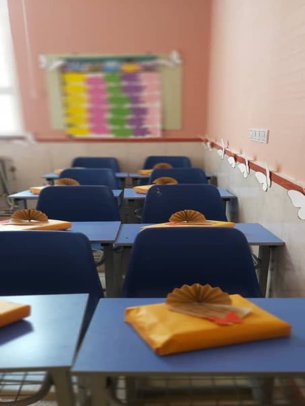 دبستان و پیش دبستانی غیر دولتی دخترانه رویش