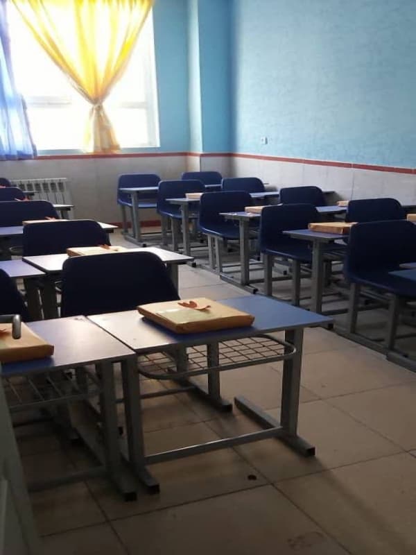 دبستان و پیش دبستانی غیر دولتی دخترانه رویش