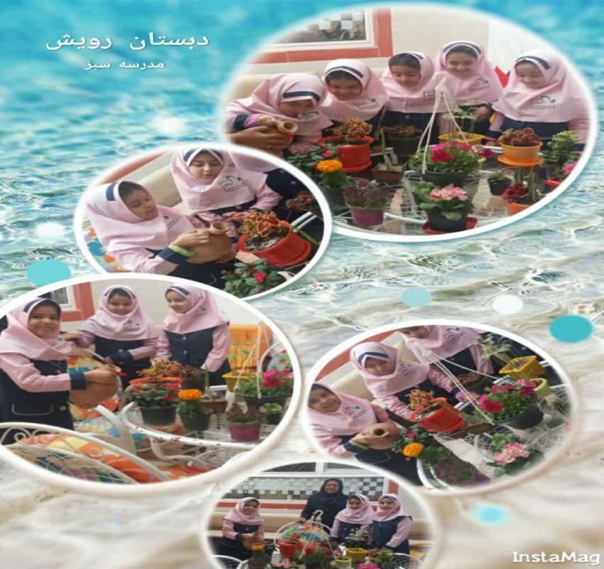 دبستان و پیش دبستانی غیر دولتی دخترانه رویش